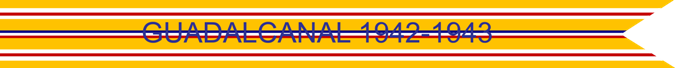 GUADALCANAL 1942-1943 US AIR FORCE CAMPAIGN STREAMER